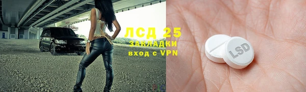 индика Елабуга