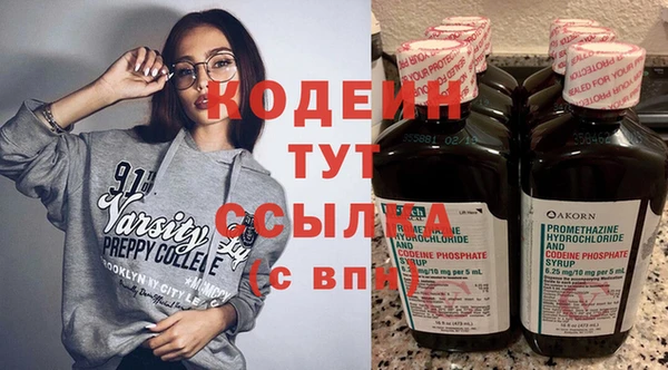 индика Елабуга
