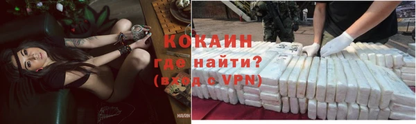 a pvp Ельня