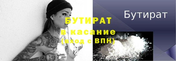 индика Елабуга
