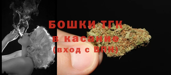 индика Елабуга