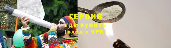 индика Елабуга