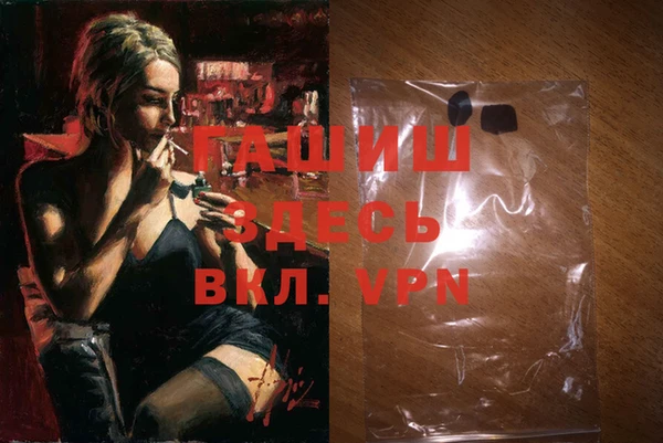 индика Елабуга