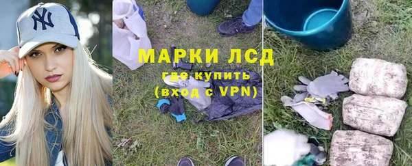 a pvp Ельня