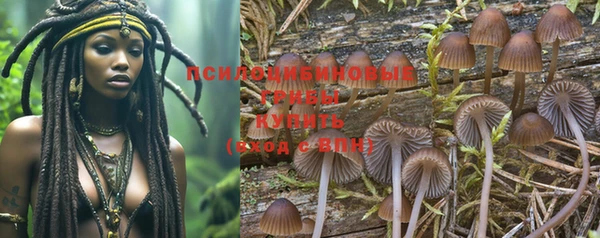 индика Елабуга