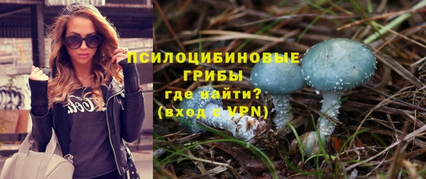 a pvp Ельня