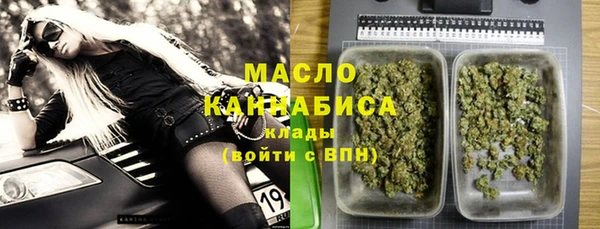 индика Елабуга