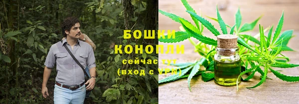 a pvp Ельня
