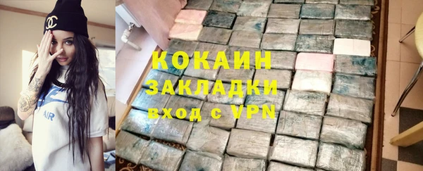 индика Елабуга
