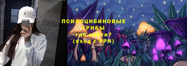 марки lsd Заводоуковск