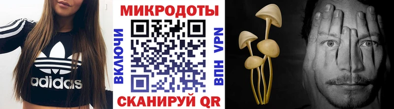 Купить  Похвистнево  Галлюциногенные грибы GOLDEN TEACHER 